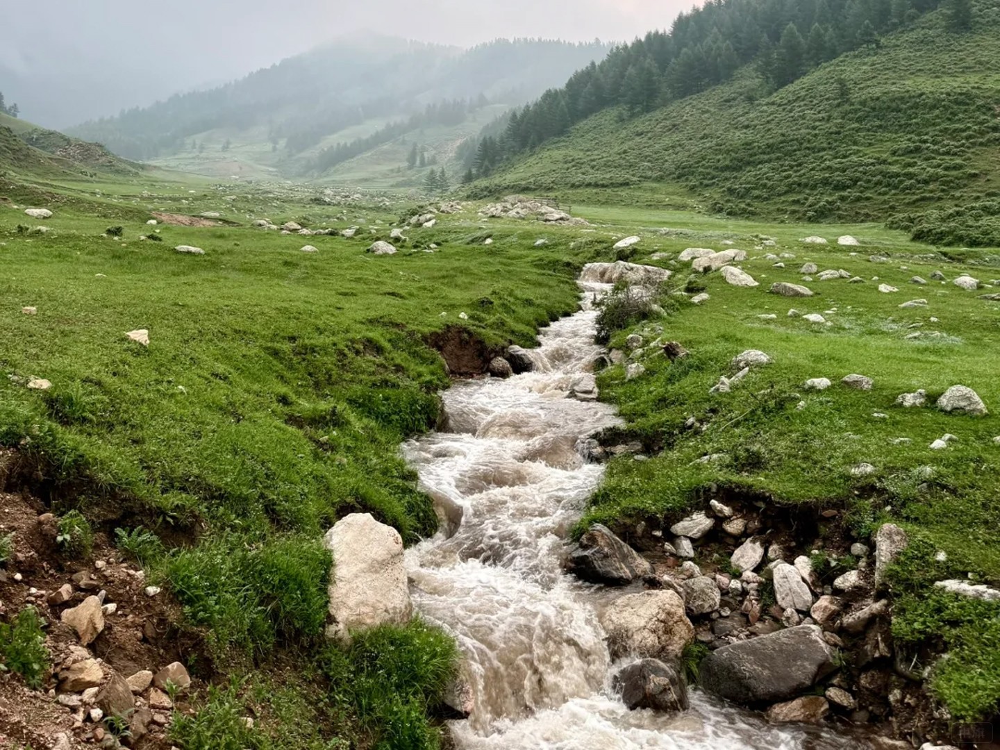 蘆茅山這風景不錯吧？