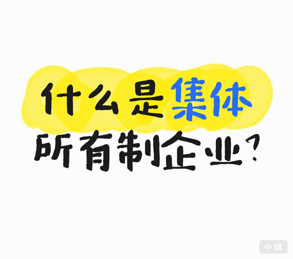 什么是集體所有制企業？