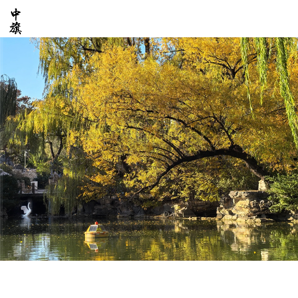 個人能開動物園么？需要哪些條件？